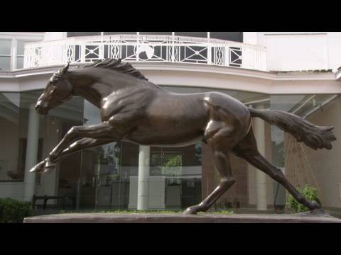 Horse Power: The National Museum of Racing