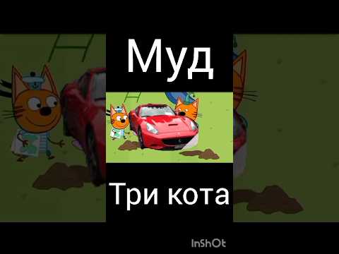 муд три кота "секретный праздник"