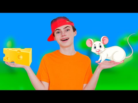 Hickory Dickory Dock 🕰️ Don't Climb Up High, Baby! | Nursery Rhyme & Kids Song