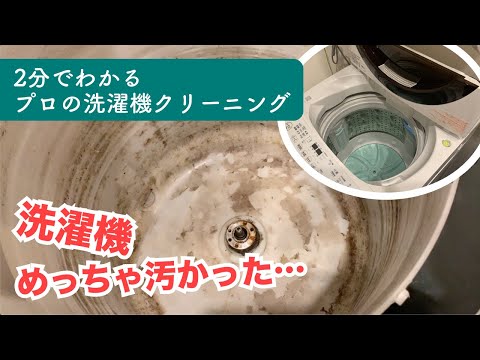 【閲覧注意】洗濯機汚すぎて笑えない【ピカピカにしてもらった】