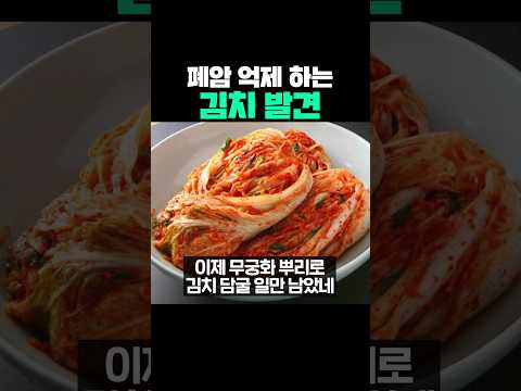 폐암 억제하는 김치 발견