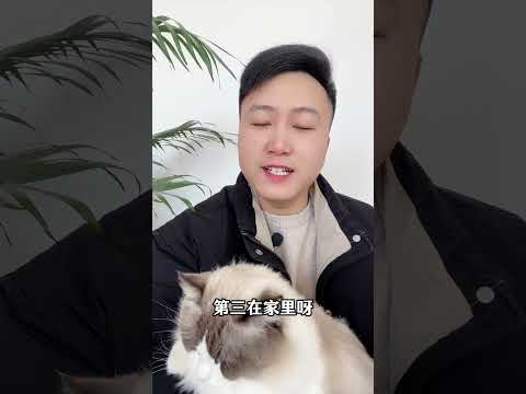 猫咪在你家过的，十分幸福的，四个驱。 养猫经验分享 科学养宠攻略  新手养猫 养猫人 养猫知识