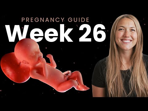 26 Weeks Pregnant | Week By Week Pregnancy