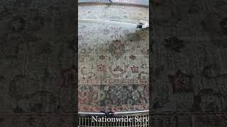 Asmr Oriental Rug Cleaning urine odor