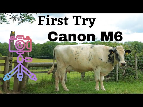 Using the Canon M6ii for the First Time - Please Read Notes for Details