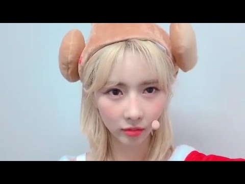 Christmas Yoohyeon🐶 wearing a chicken hat