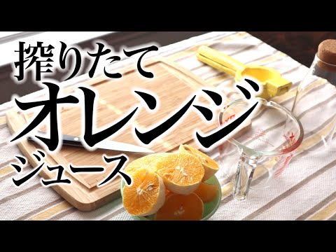 搾りたてオレンジジュース、ASMR、生活音、絞る音、聖書