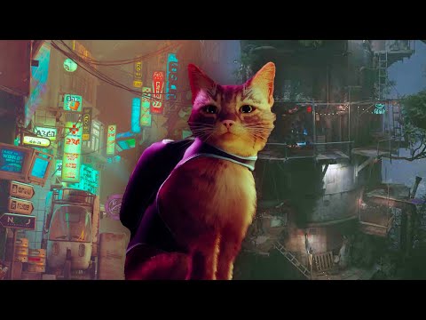 Stray cat takes us to the Cybercity