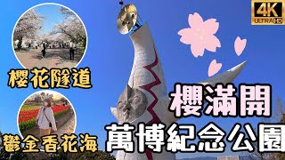 日本旅遊大阪LaLaport逛街2023最新｜萬博紀念公園櫻花夜櫻隧道散步｜必喝星巴克茶瓦納TEAVANA茶專賣店｜鬱金香花海好美｜日本旅遊觀光4KVLOG｜關西大阪自由行必去景點美食#16