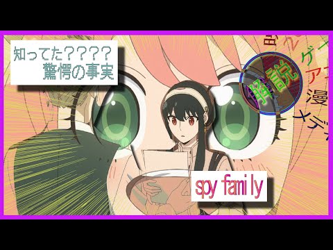 spy family　　解説/この家族を知ったら100倍家族が愛おしくなる