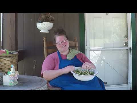 First Pickin' Of Cowpeas! YUM!