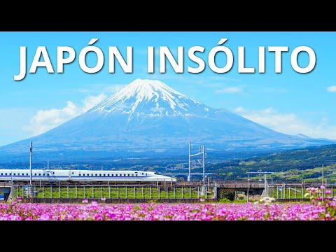 JAPÓN INSÓLITO | Las maravillas más alucinantes de Japón