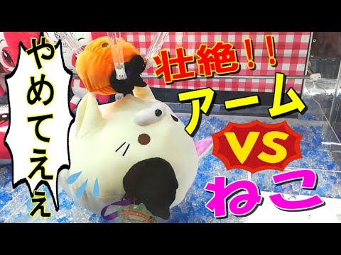 【UFOキャッチャー】人間(アーム操縦者)VSねこの対決がくだらなすぎた…ｗ　(Human vs Cat!)