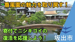 【支援募集】香風園ニシキゴイ復活応援プロジェクト！園の景観とふれあいの場を取り戻そう