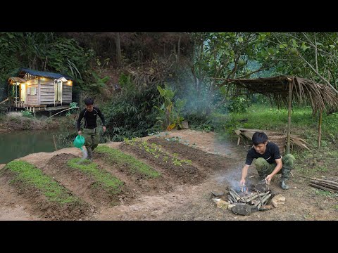 2 Months Gardening on new land, growing vegetables, harvesting pears, watermelons to market sell