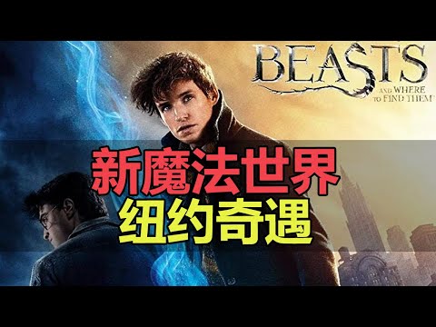 【神奇/怪獸02】魔法再現！細節重溫哈利波特前傳故事，紐特的魔法奇遇！