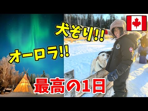 【カナダ】犬ぞりとオーロラ出現１時間！の最高の1日。　イエローナイフ　オーロラヴィレッジ　かえであーたんファミリー　海外旅行