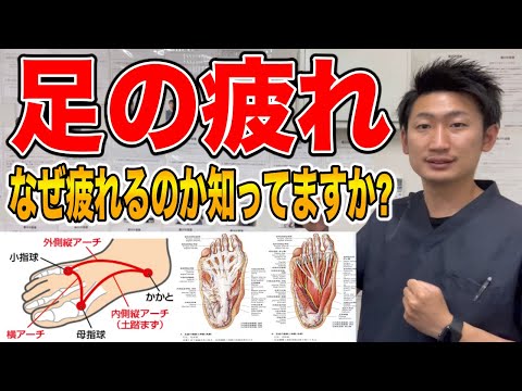 【知識】足に疲労感を感じる方は見て下さい！【#ハリボディTV】