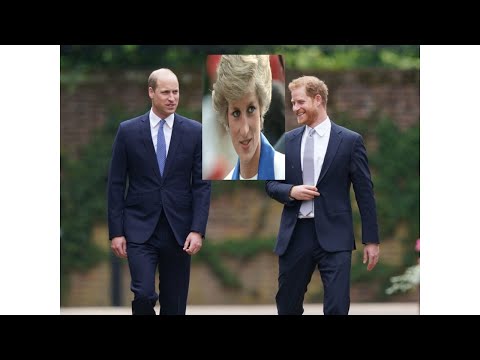 "United in Tribute: Prince William, Prince Harry celebrate Diana's legacy"