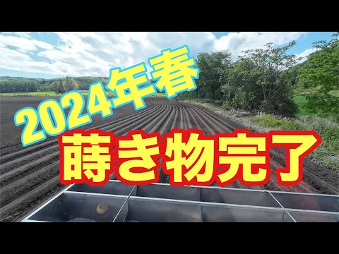 2024年5月31日　春の蒔き物完了