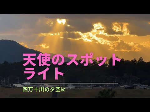 冬の四万十川に天使のスポットライト！幸運の兆しの天使の階段(高知)