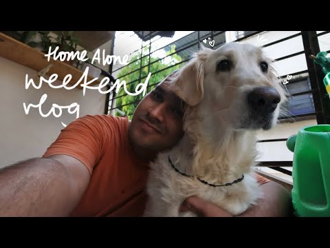 a rest and rot weekend vlog 💌 // Home Alone Diaries