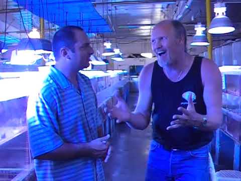 Sea Dwelling Creatures, a Fish Wholesaler, LA Fishguys Episode 60, Part 2