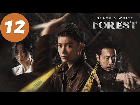 ENG SUB | Black & White Forest | EP12 | 黑白森林 | Ding Yuxi, Ning Li, Han Xue