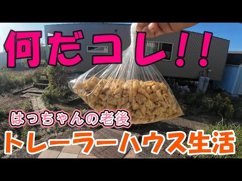 【トレーラーハウス生活】廃棄処分のあれで美味しい煮物　#356