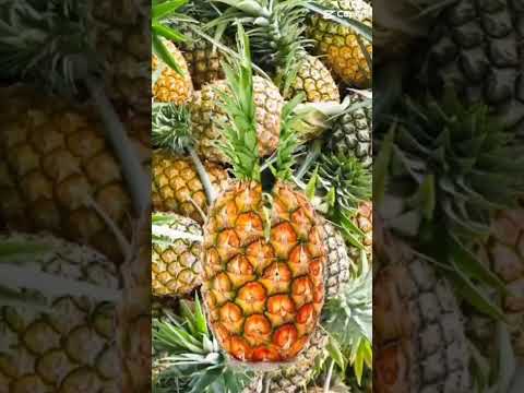 Pineapple#shorts #shortvideo