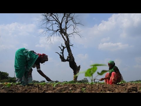 Temperature Set to Soar in Most Parts of India in Next 5 Days, But Heatwave Unlikely | Here's Why