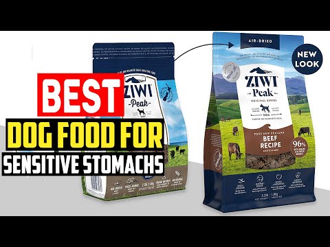 ✅Best dog food for sensitive stomachs in 2023