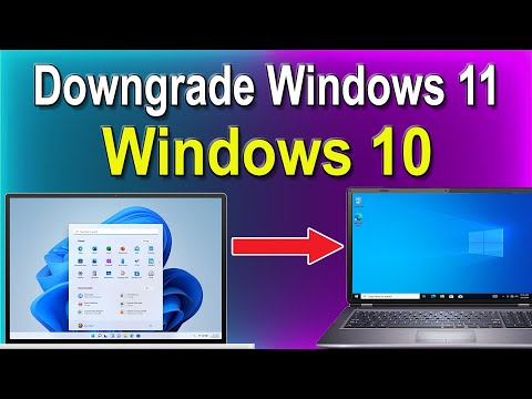 How to Downgrade Windows 11 to Windows 10 | Free Downgrade