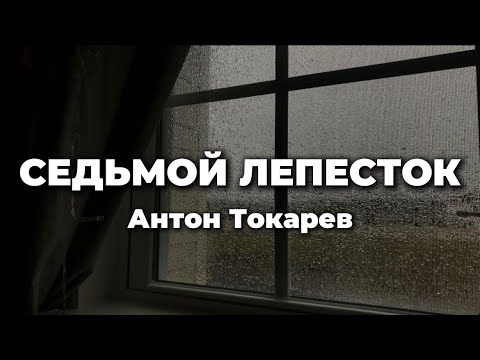 Антон Токарев - Седьмой лепесток (lyrics) || Текст песни