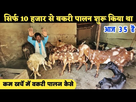 कम खर्चे में बकरी पालन शुरू करें | Low cost goat farming