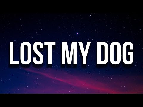 Future - LOST MY DOG (Lyrics)