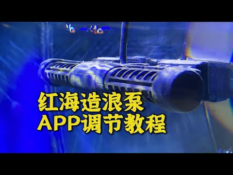 红海造浪泵使用体验，不会用的可以看看这个教程，除了APP难用以外，其它都挺智能