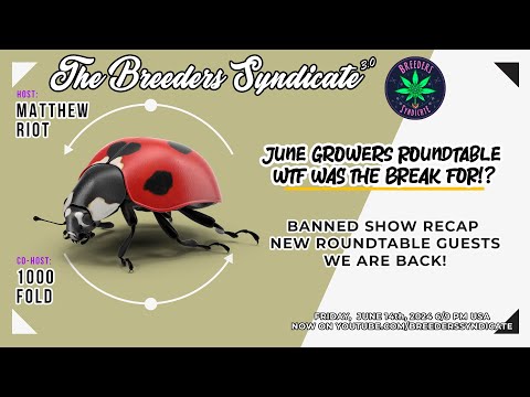 BANNED FOR THE TRUTH? WE'RE BACK! Attitude and ILGM episode RECAP + June Growers Roundtable S11 E09