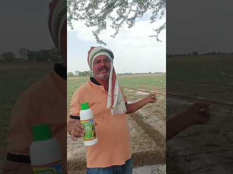 085 Farmer from Firozabad | Uttar Pradesh | Nano Urea Testimonial