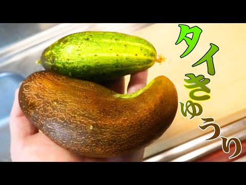 珍しい野菜を食べてみた【タイきゅうり】