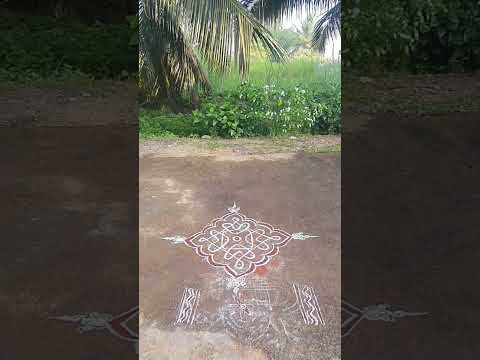 Margali kolam #margalikolam