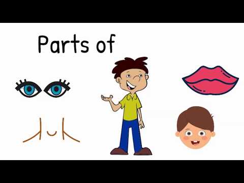 Parts of the Body | Educational Video for Kids | Preschool | Kindergarten | Elementary