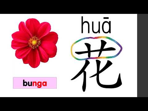 部首 | 艹部（草字头）| 学前教育班Preschool | 学习中文 Learning Chinese