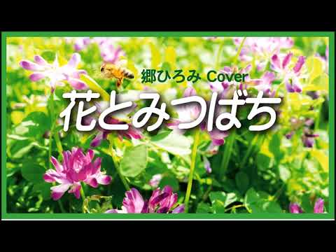 1974 花とみつばち 郷ひろみ « A Flower and a Bee » by Hiromi Go , Covered by Kazuaki Gabychan