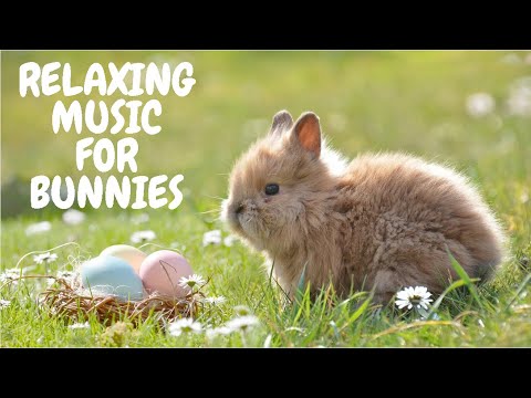 Relaxing Music For Bunnies