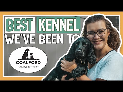 BEST KENNEL EXPERIENCE FOR YOUR DOG | Why Coalford Canine Retreat is the best kennel we've been to!