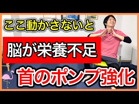 【脳への血流向上】脳に栄養を送る首の筋肉のポンプ作用を強くして脳血流量と脳への栄養を高める首に特化した筋トレ