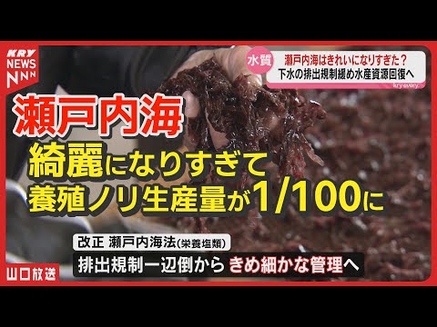 下水規制緩和で養殖ノリ復活なるか？瀬戸内海の水質改善が新たな課題に！