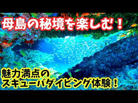 母島の海底探検！スキューバダイビングで見る美しい海の世界、小笠原諸島