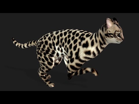 LeopardCat A12